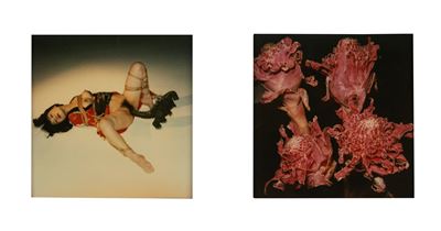Senza titolo (Bondage e Fiore), due polaroid montate su passepartout