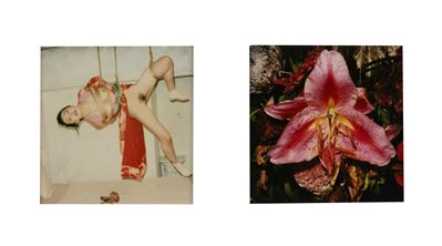 Senza titolo (Bondage e Fiore), due polaroid montate su passepartout