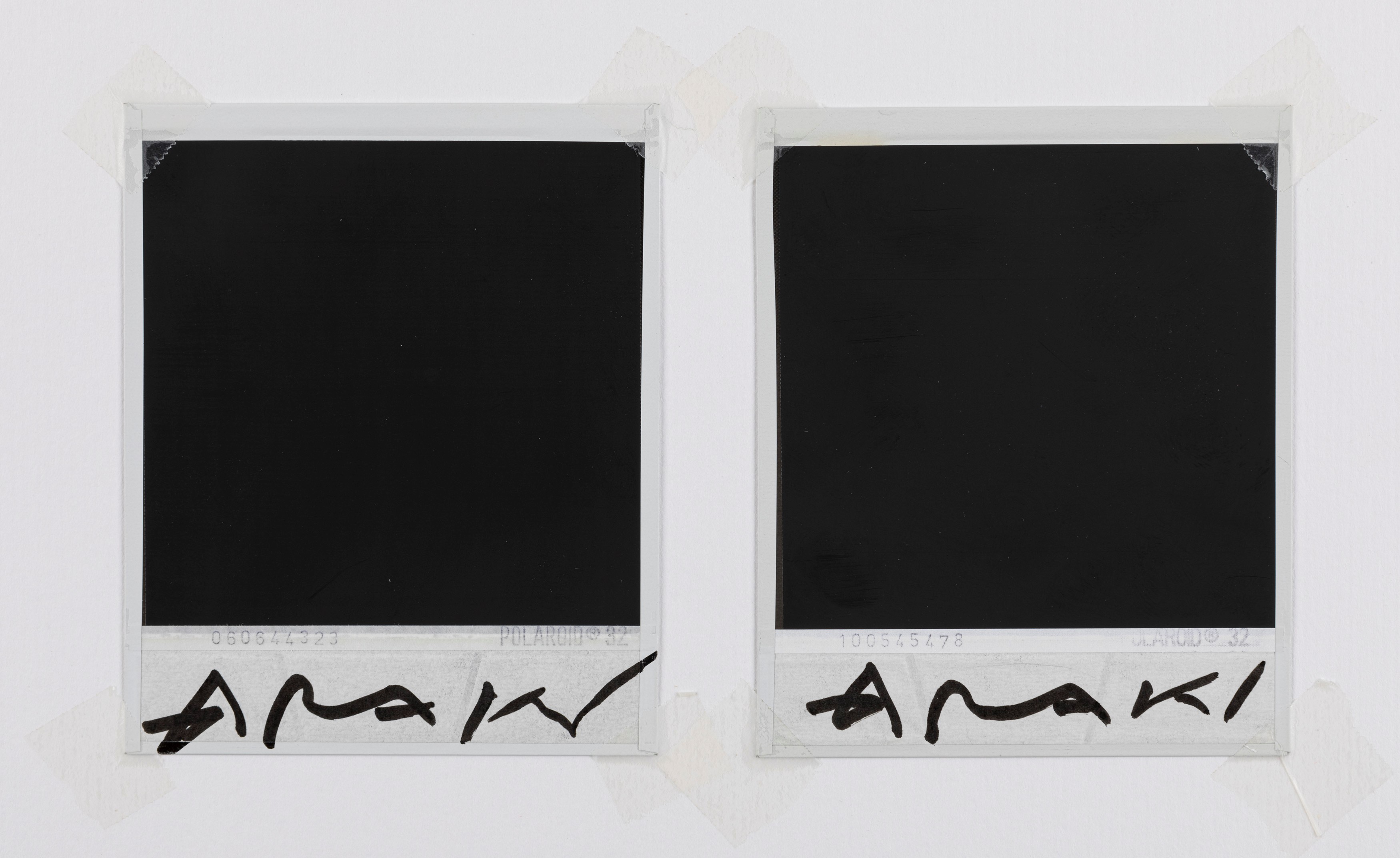 Nobuyoshi Araki - Senza titolo (Bondage e Fiore), due polaroid montate su passepartout