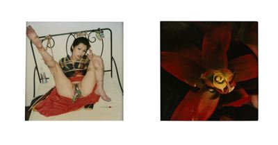 Senza titolo (Bondage e Fiore), polaroid montate su passepartout