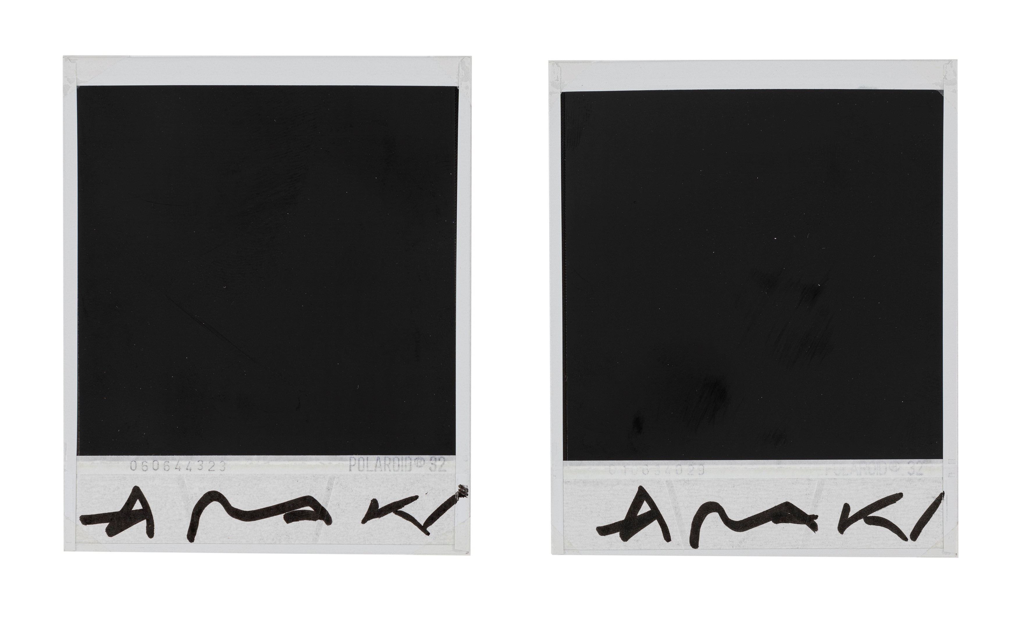 Nobuyoshi Araki - Senza titolo (Bondage e Fiore), polaroid montate su passepartout