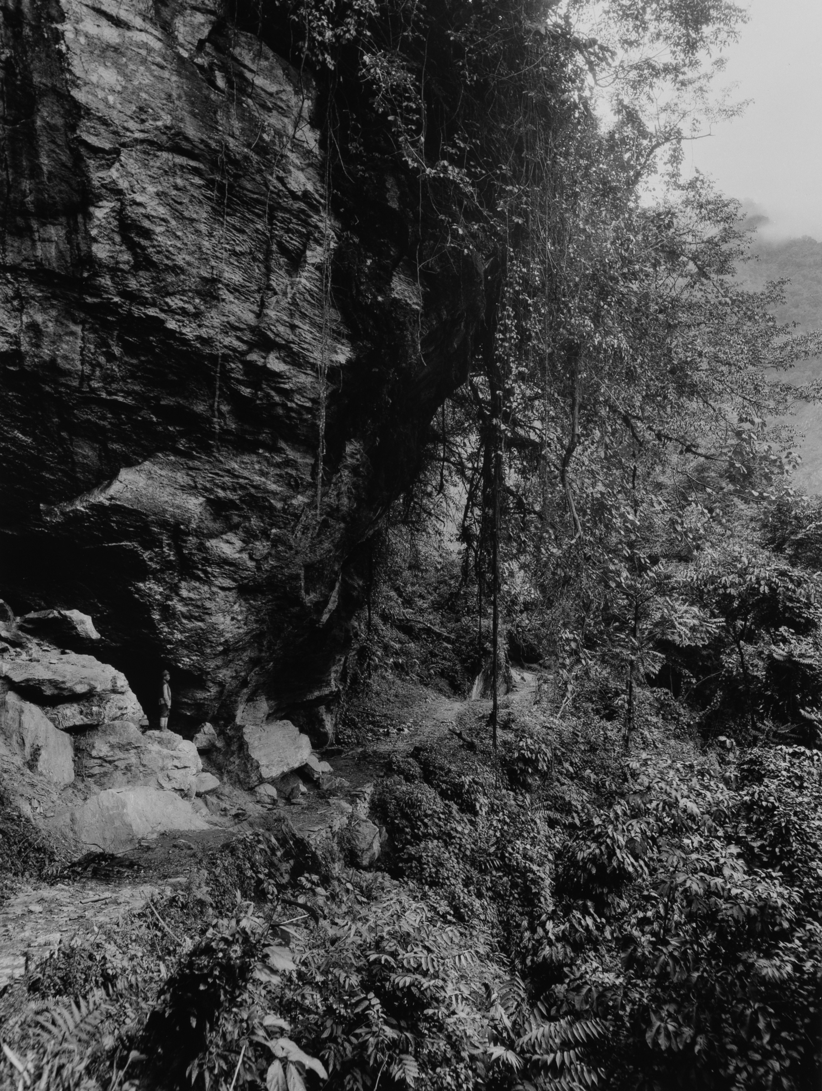 Vittorio Sella - Sikkim I - Nove stampe alla gelatina ai sali d'argento, 1899