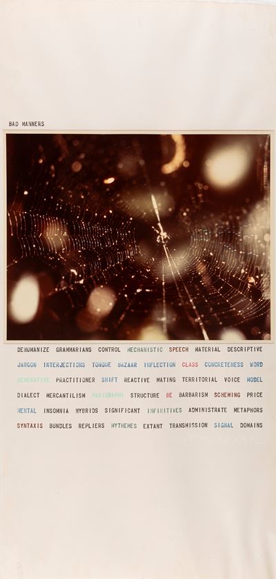Study for the Transcode Series, Stampa cromogenica vintage su cartoncino