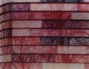 See, What You See (Composition in a Garden)