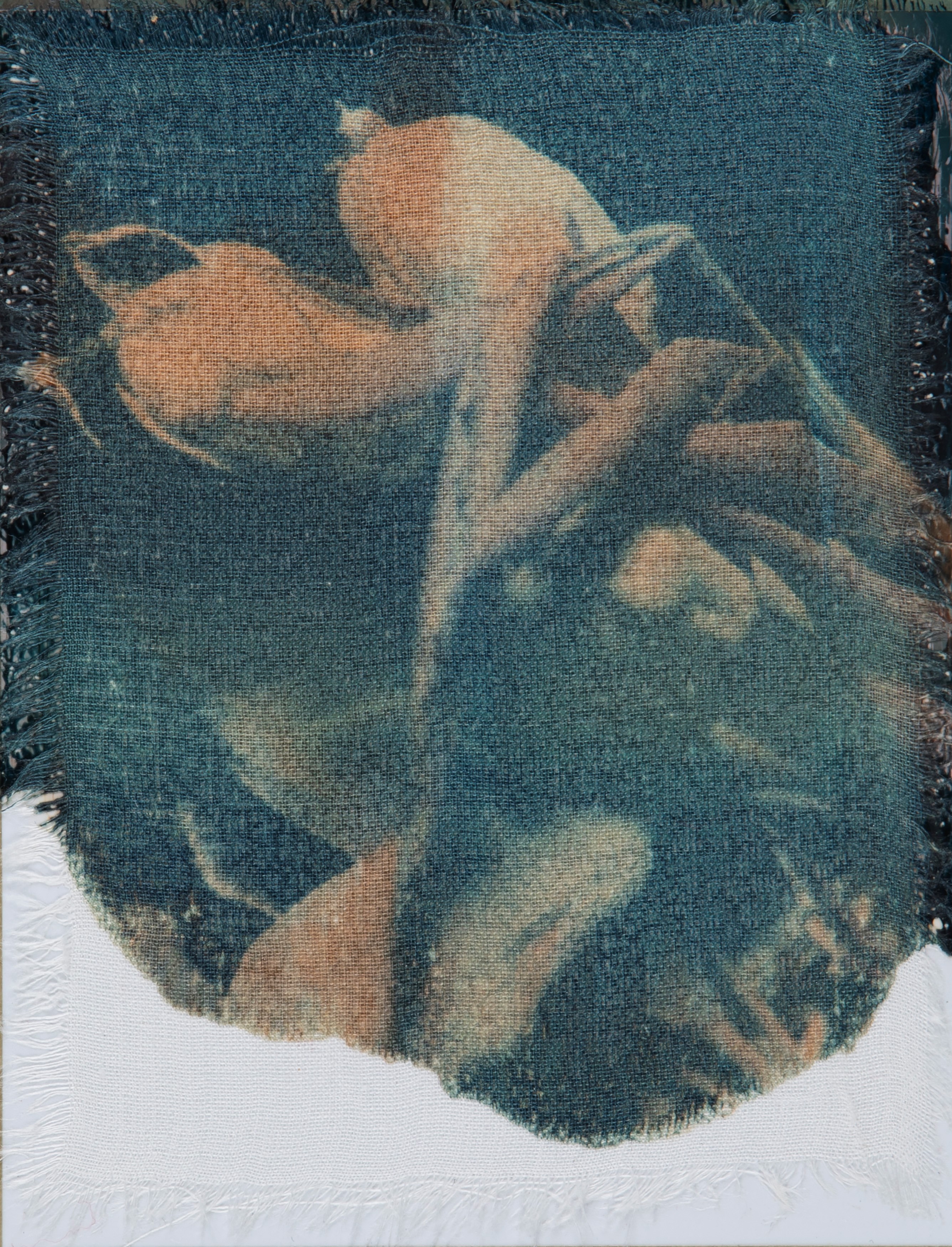 Paolo Gioli - Fiori secchi - Polaroid trasferta su seta applicata su cartoncino, 2006