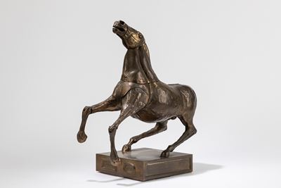 Il Cavallo