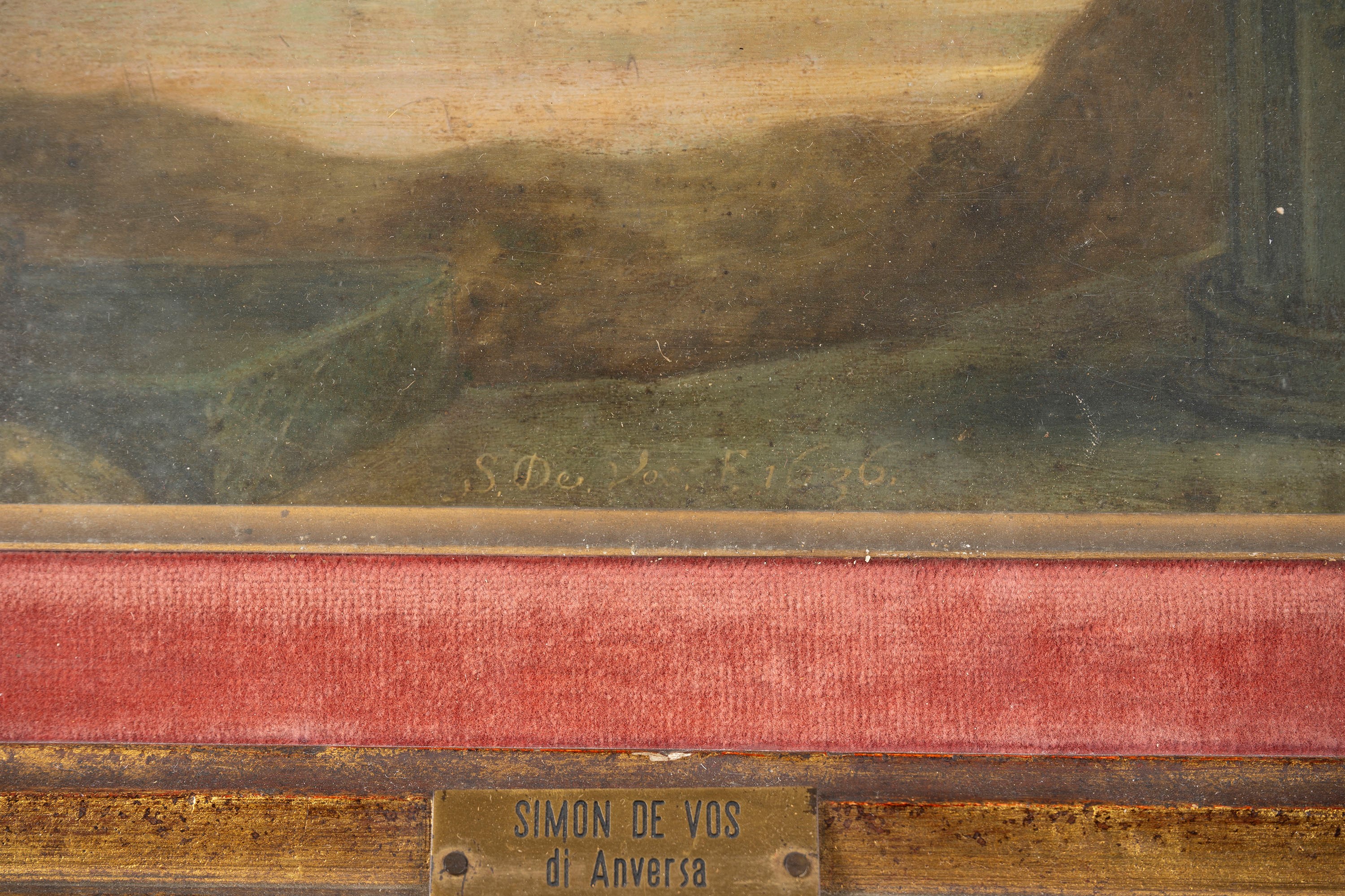 Immacolata concezione