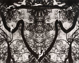 Tale of night forest