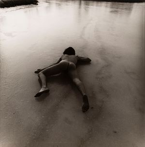 Borzée René  - Untitled