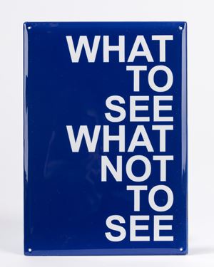 What to see what not to see