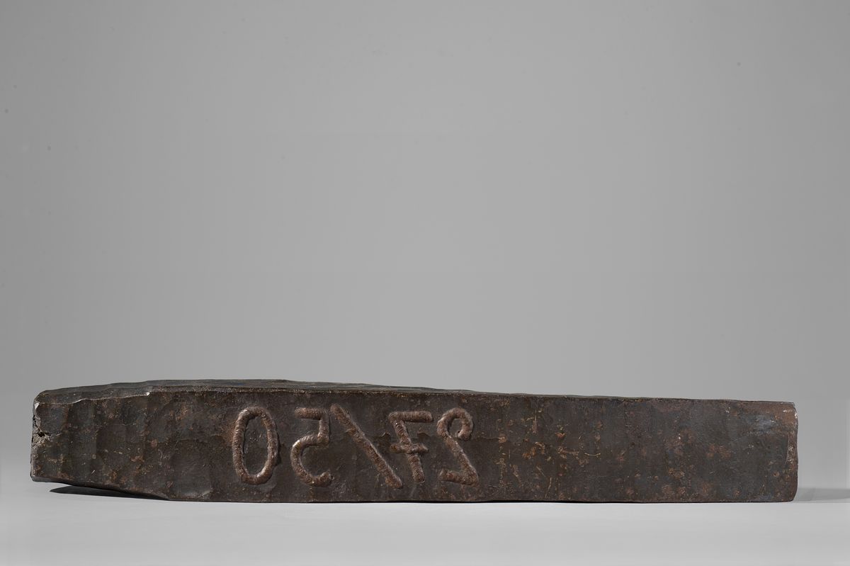 Giuseppe Penone - Scrive, Legge, Ricorda - n. 3 fotografie e ferro