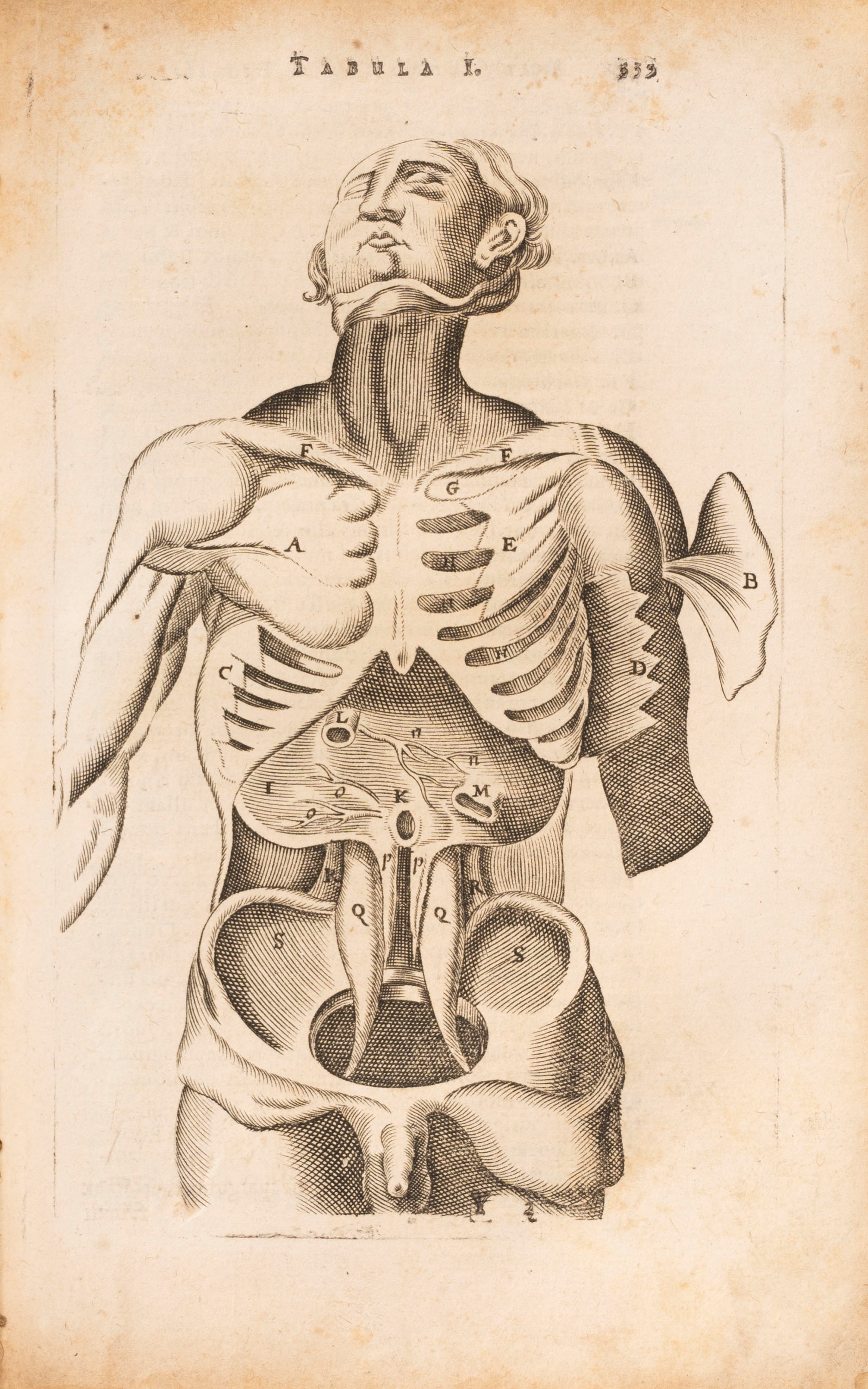 Thomas Bartholin - Anatome Quartum Renovata