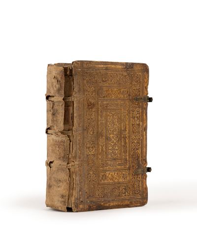 Institutionum Libri Primi Epitome: Syntaxeos Item Faciliora Praecepta, Ex Eiusdem Auctoris Libro ...