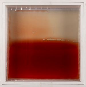 Anceschi Giovanni - Vetroliquido Rosso
