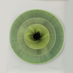 Biasi Alberto - Dinamica 62