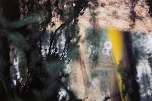 Bagnoli Riccardo - Untitled