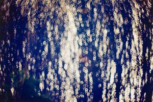 Senza titolo (Astrazione)