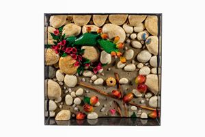 Fichi d'India e Buganville