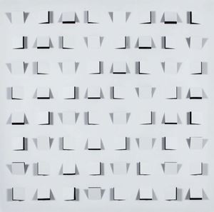 Struttura ottico-dinamica