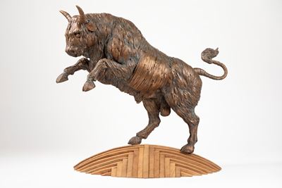 Toro