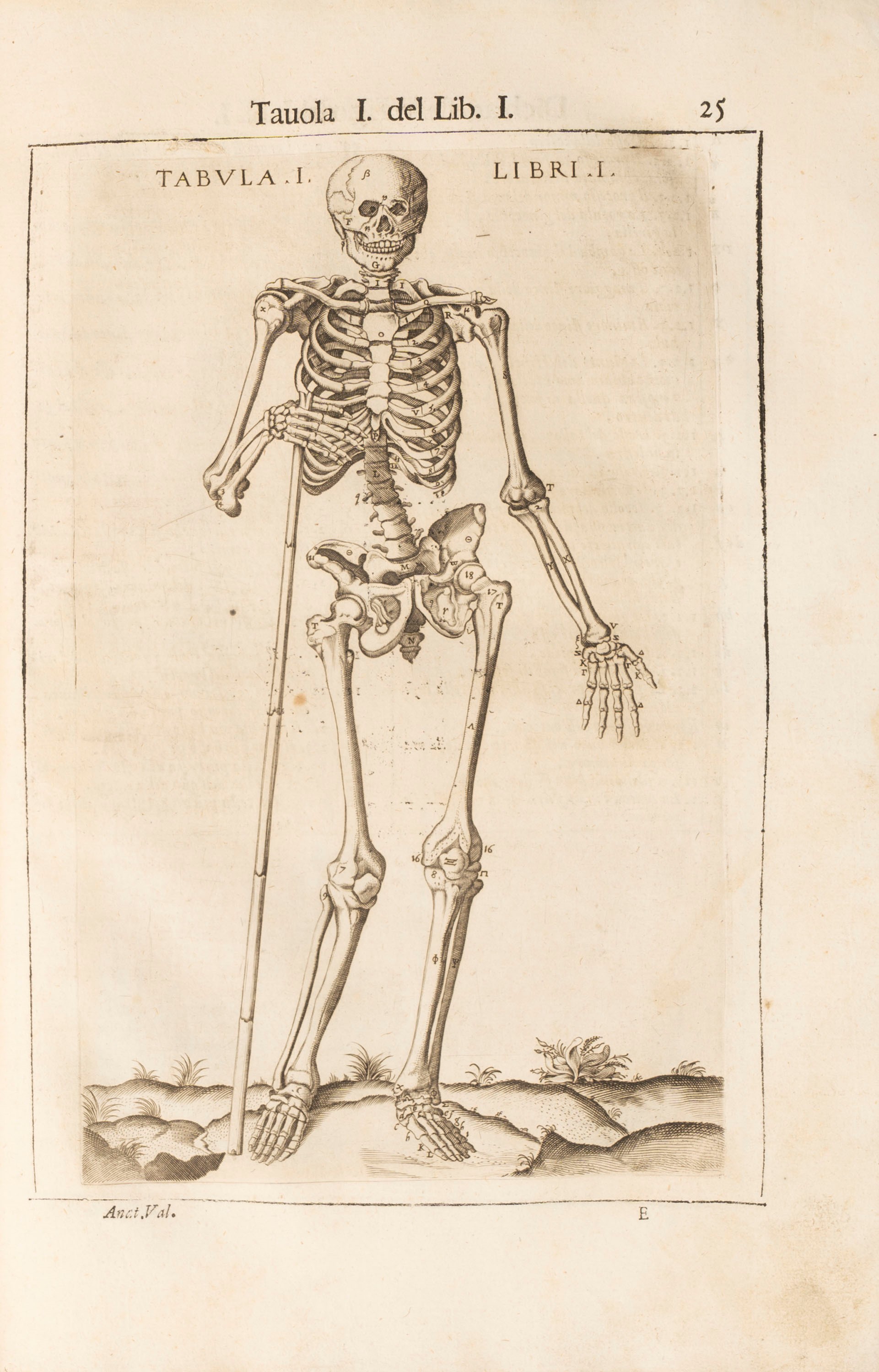 Giovanni Valverde - Anatomia del Corpo Humano