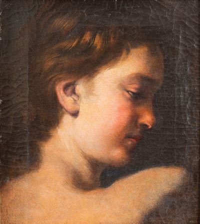 Autore ignoto, Studio di giovinetto, olio su tela