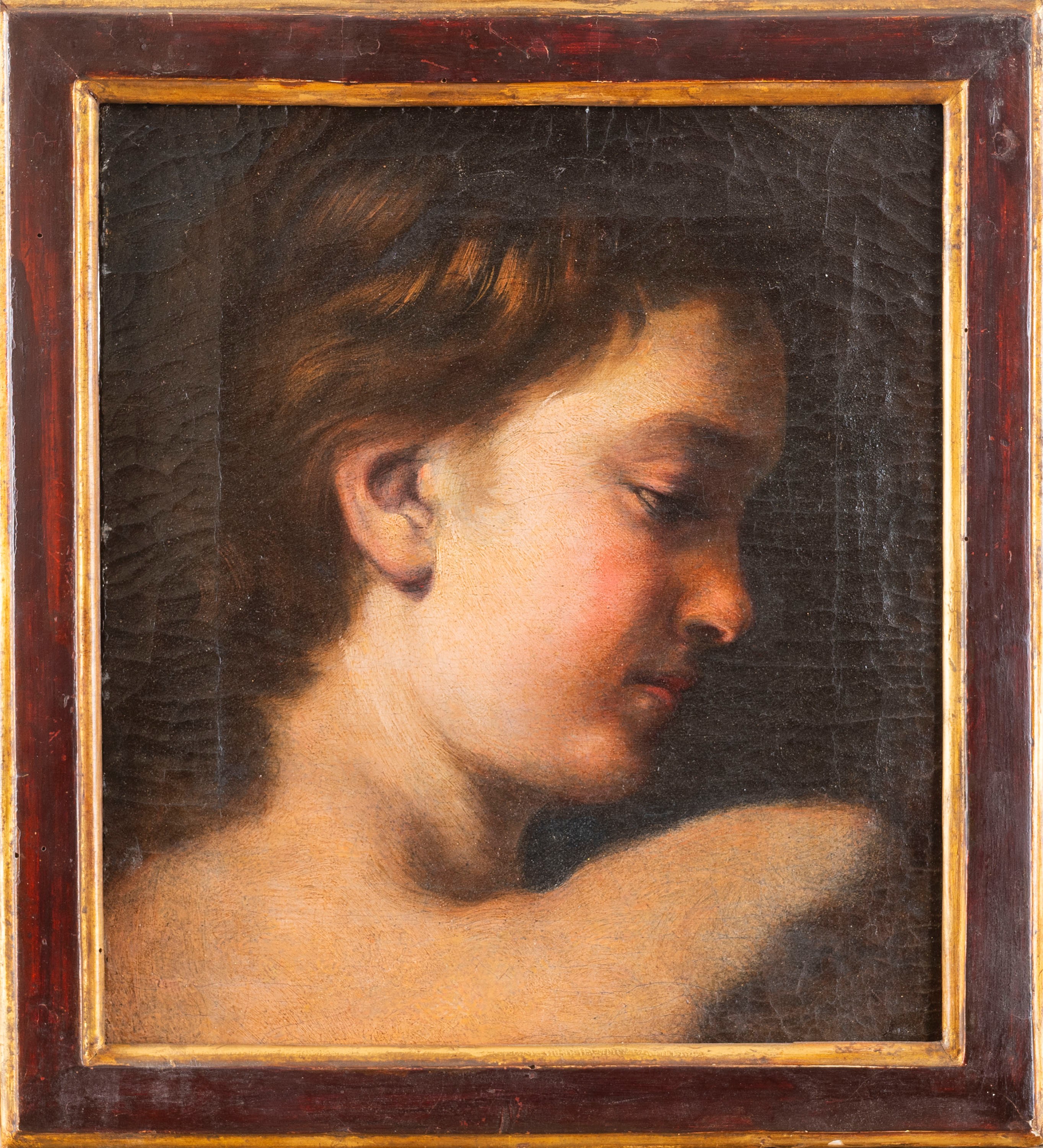 Scuola Toscana, Secolo XVII - Autore ignoto, Studio di giovinetto, olio su tela