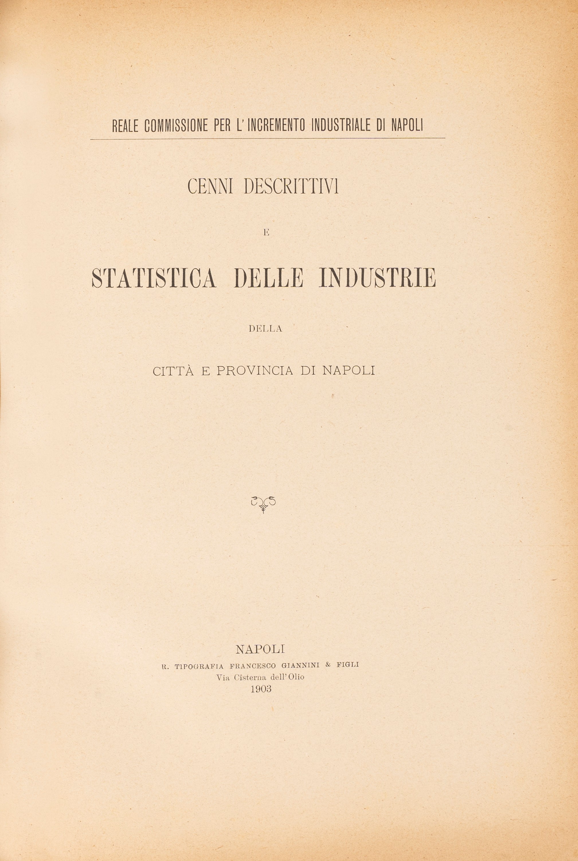 Relazione della Reale Commissione per L’incremento Industriale di Napoli.