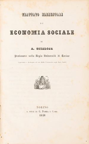 Trattato elementare di economia sociale