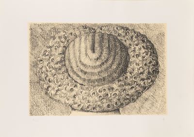 Indéfrisable