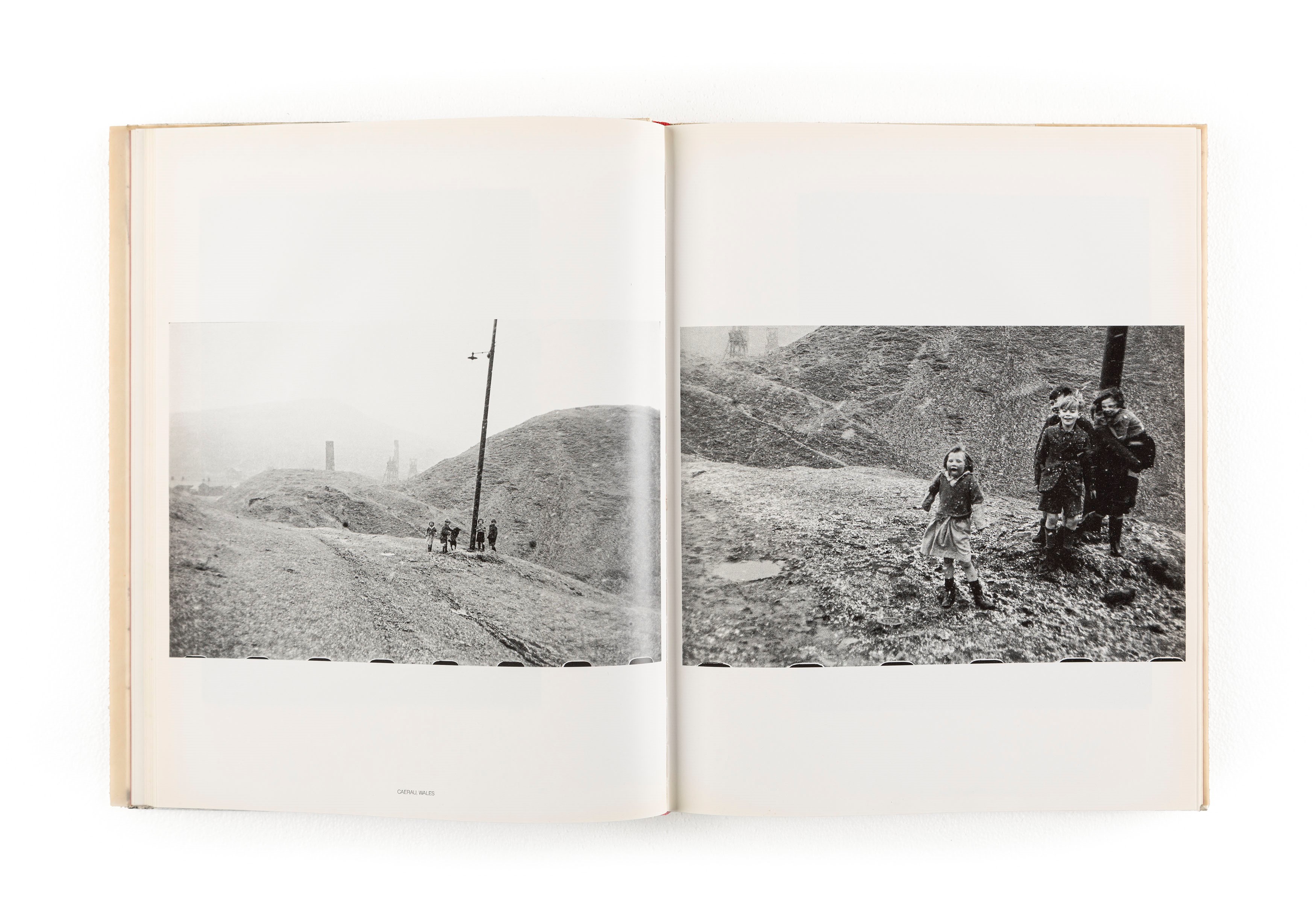 Robert Frank - The Lines Of My Hand