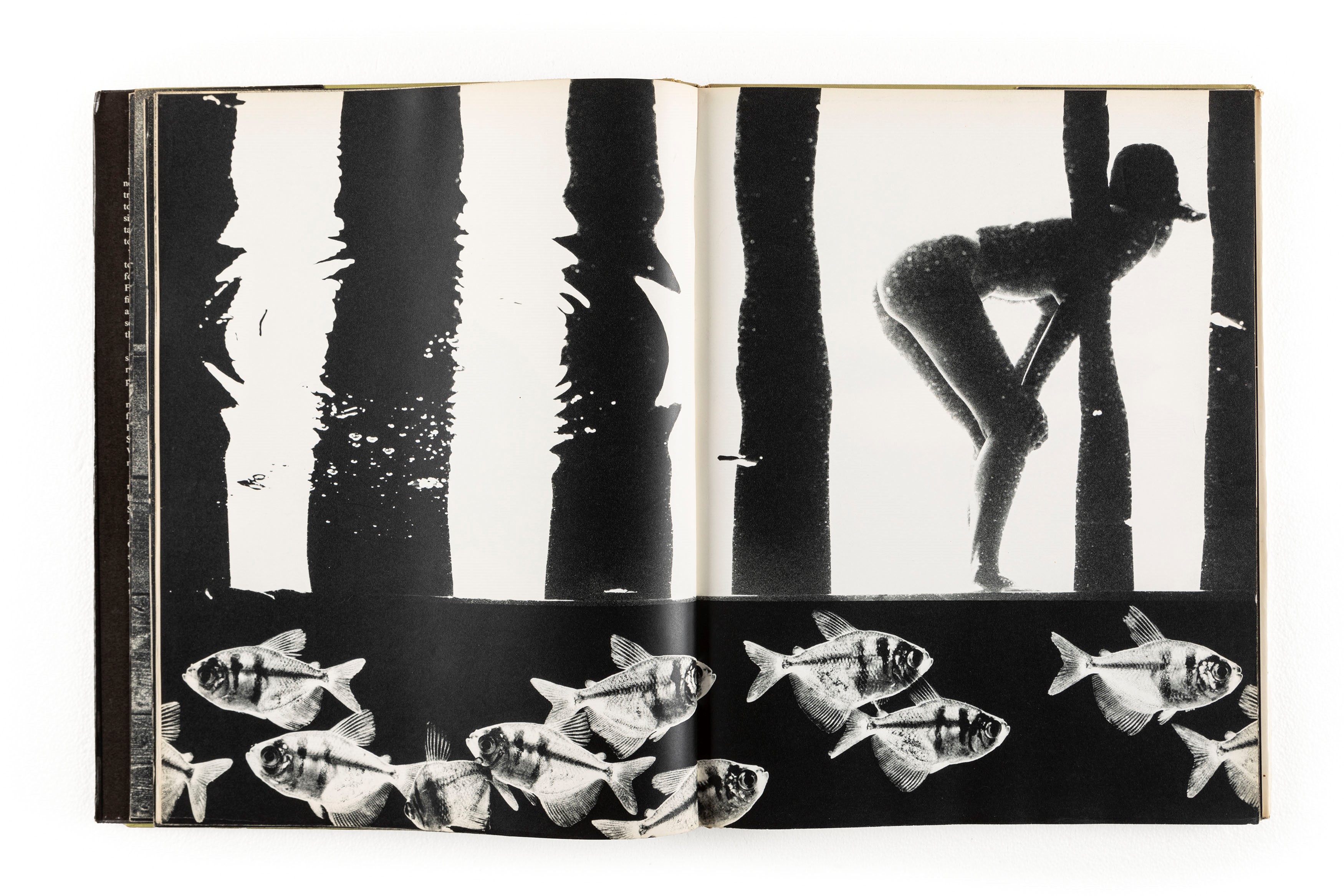 Samuel Haskins - Cowboy Kate & Other Stories