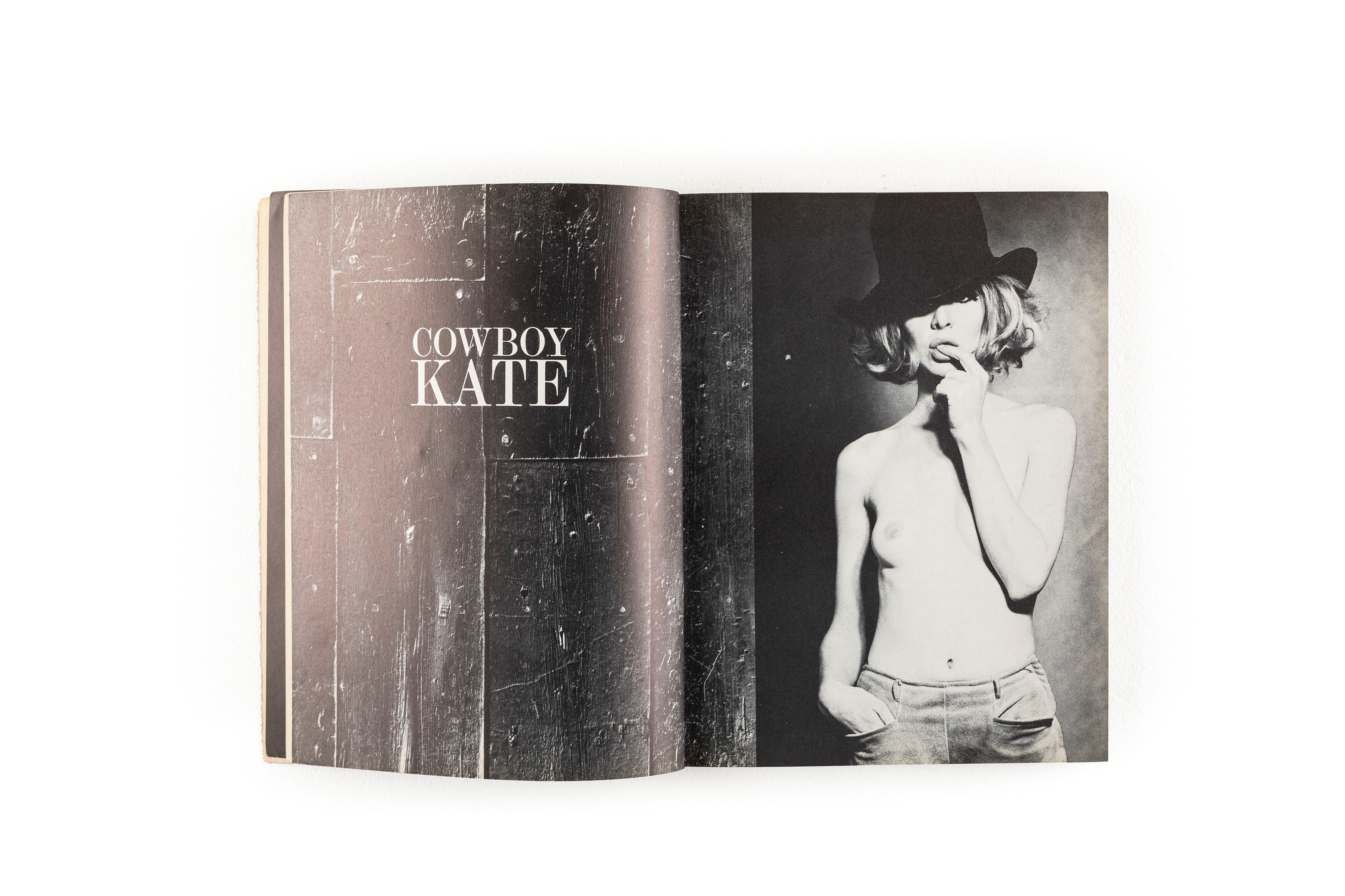 Samuel Haskins - Cowboy Kate & Other Stories