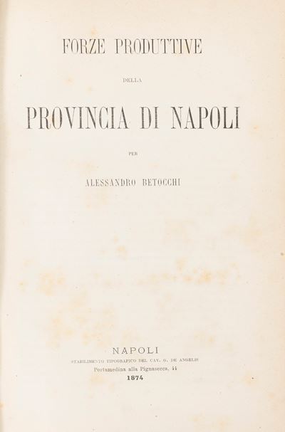Le Forze Produttrici della Provincia di Napoli.