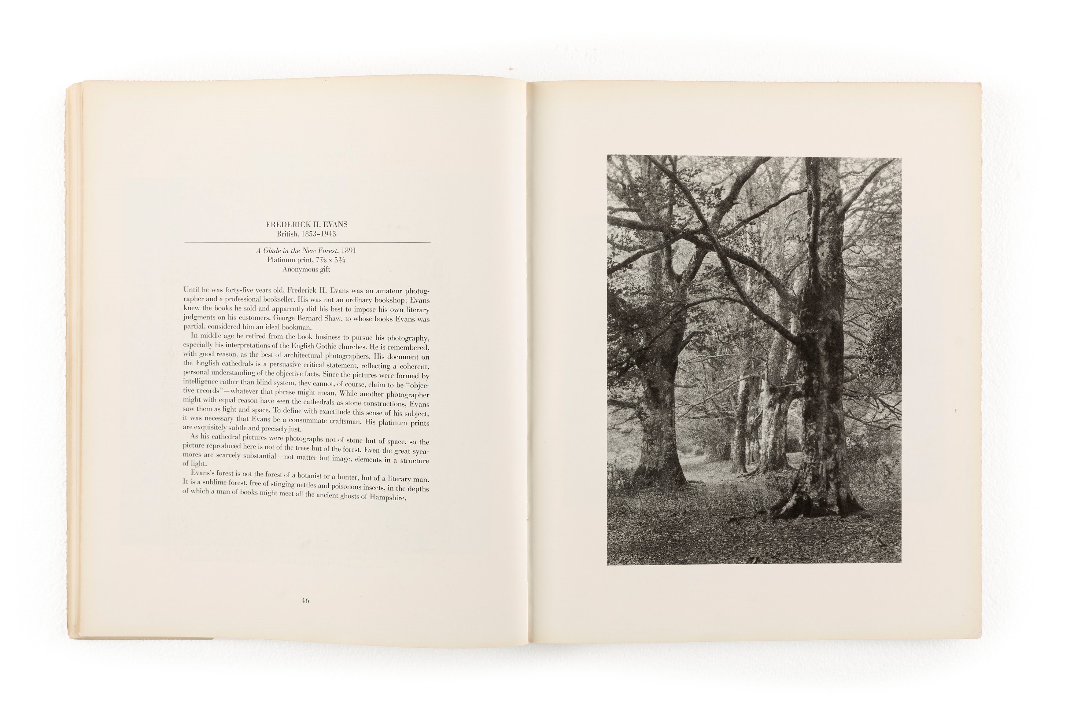 Looking At Photographs, 100 Pictures From The Collection Of The Museum Of Modern Art
