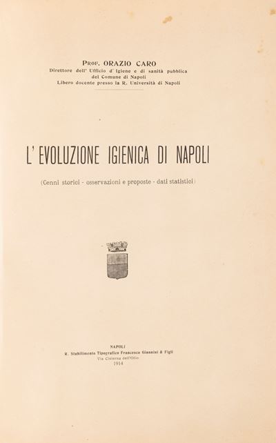 L'evoluzione Igienica di Napoli. Cenni Storici, Osservazioni e Proposte, Dati Statistici