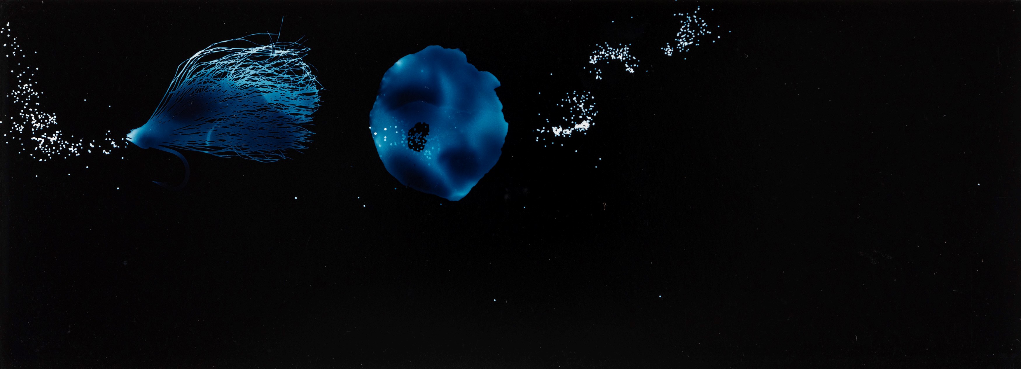 Roberto Salbitani - Piccolo Album dal Profondo