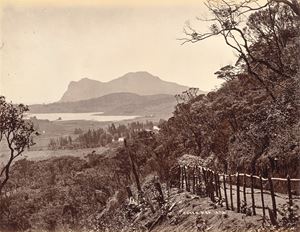 Senza titolo, Ceylon