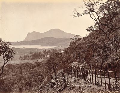 Senza titolo (Ceylon) — stampa all'albumina