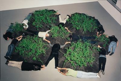 Blumenbeet, Ilfochrome