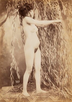Senza titolo (Nudo)