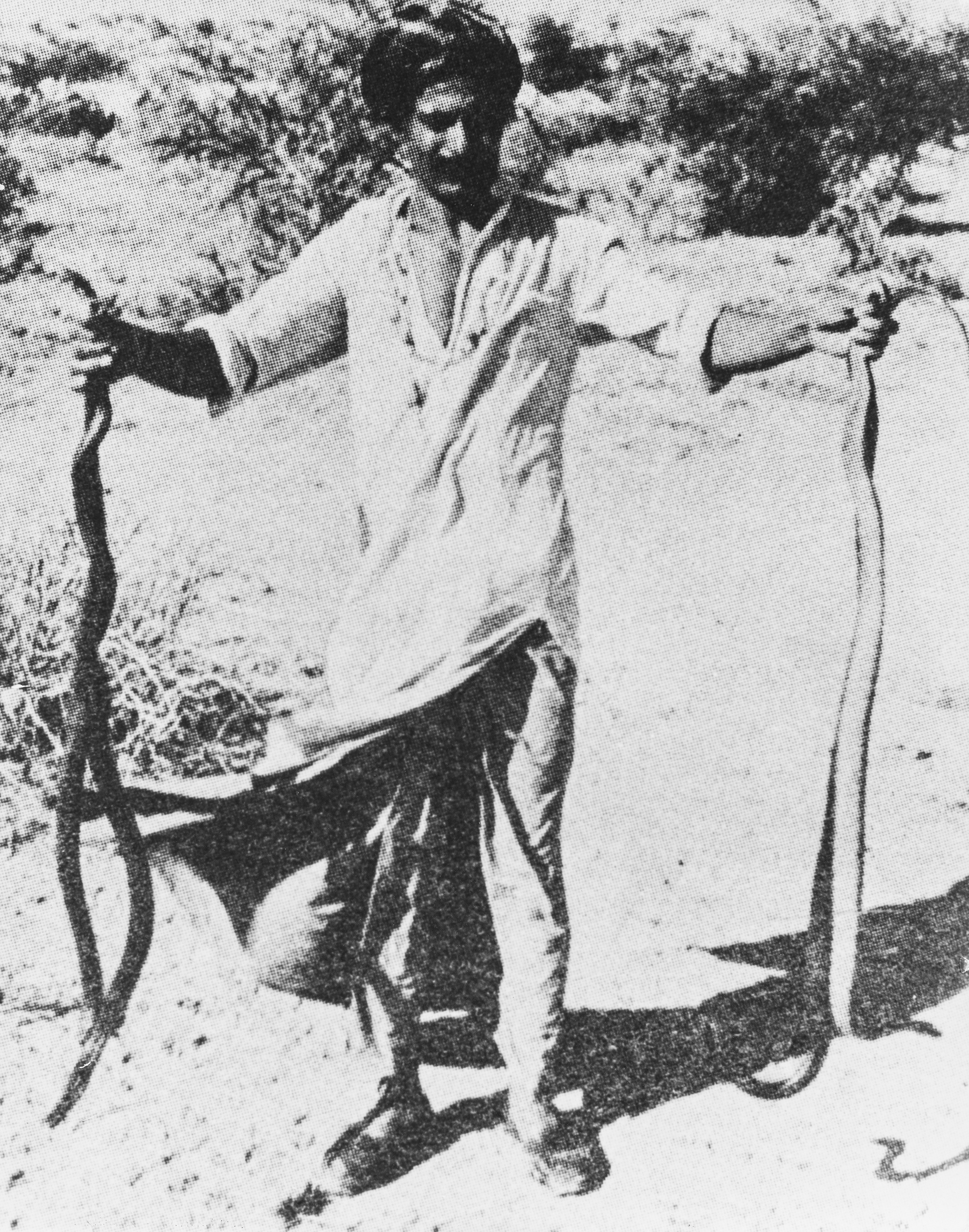 Kepler's Music of the Spheresto be Played by Six Snakes