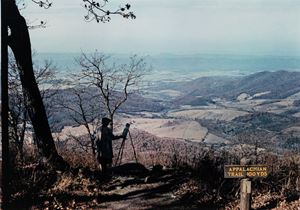 Man painting from Skyline Drive, Shenandoah Valley, VA
