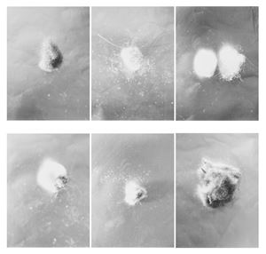 Untitled (1, 5, 6, 7, 10, 13)