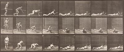 Lying, Phone And Firing, Plate 357, Animal Locomotion