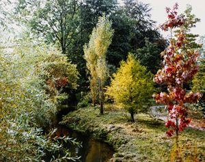 Giverny 21
