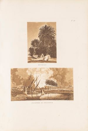 Viaggio nel basso ed alto Egitto illustrato dietro alle tracce e ai disegni del Sig. Denon