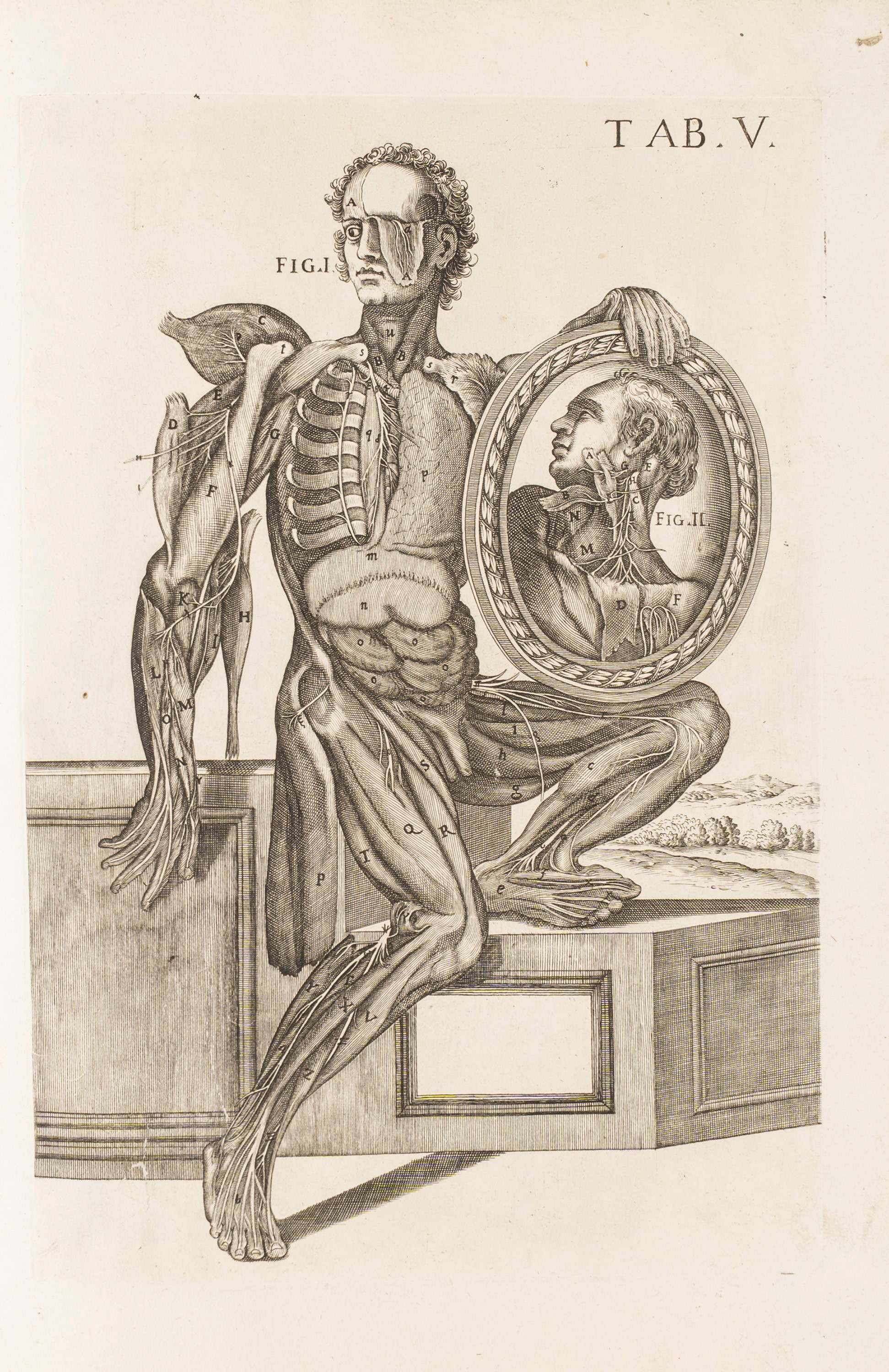 Berrettini, Pietro (detto Pietro da Cortona) - Petraglia, Francesco - Tabulae Anatomicae