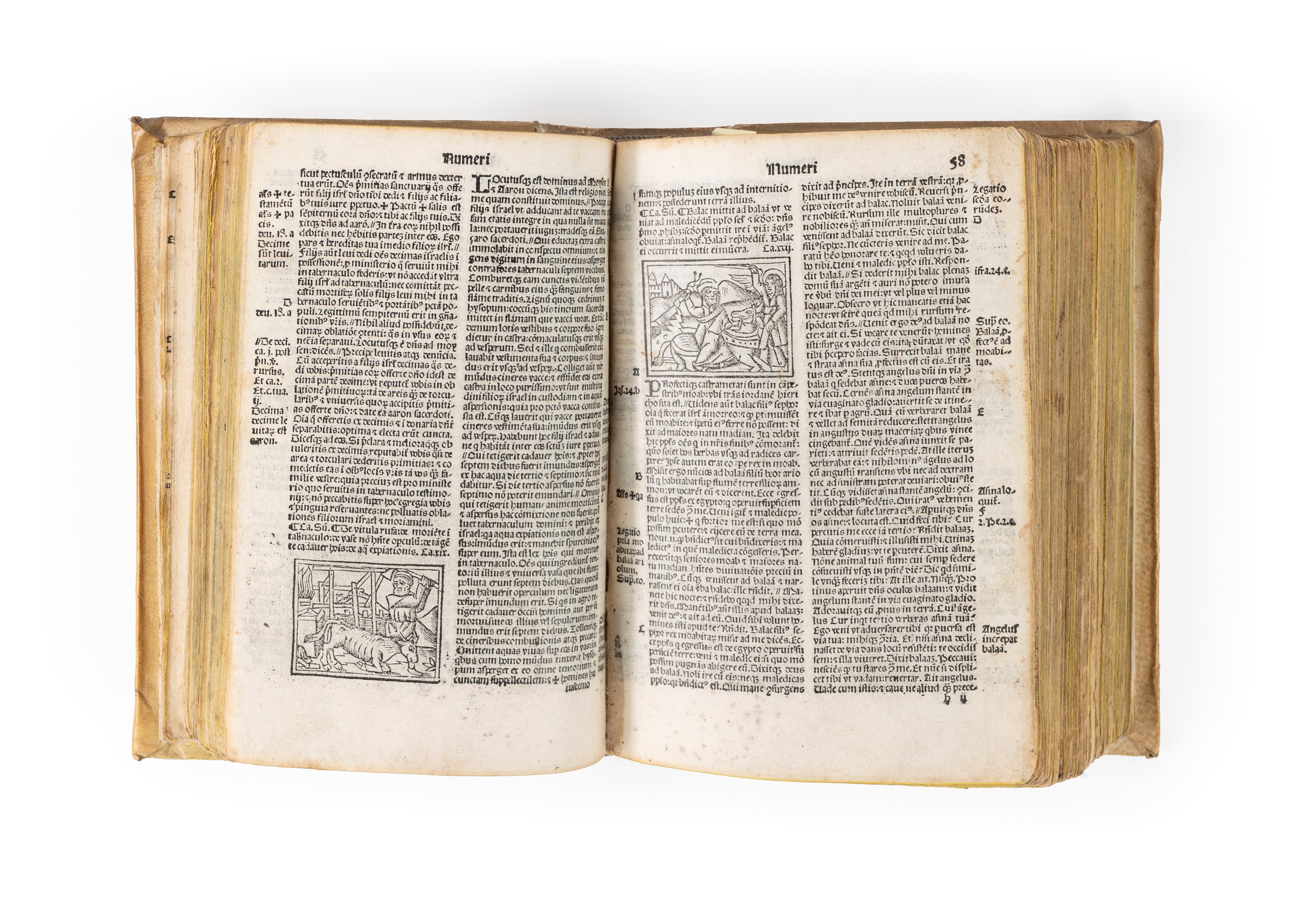 Biblia Cum Concordantijs Veteris & Noui Testamenti & Sacrorum Canonum: Plenisque Quam Uis Breuibu...