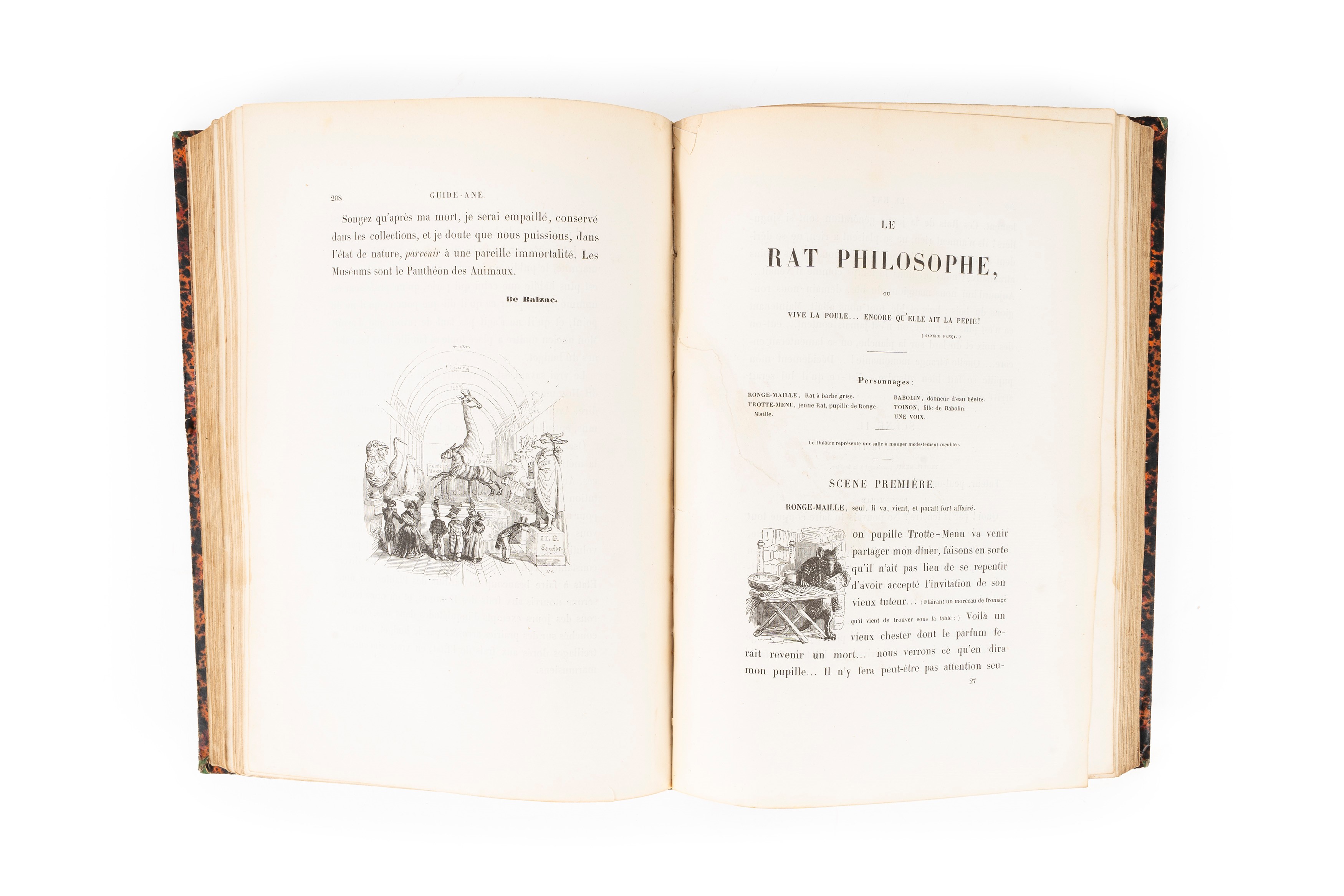 Grandville, Jean - Jacques - Scènes De la Vie Privée Et Publique Des Animax